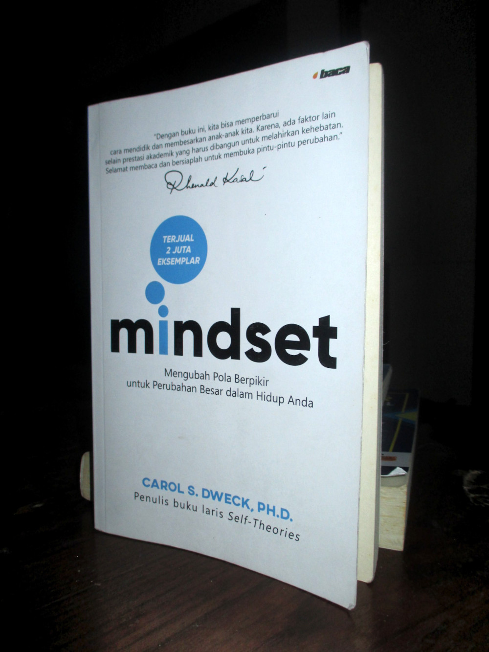 Buku Mindset
