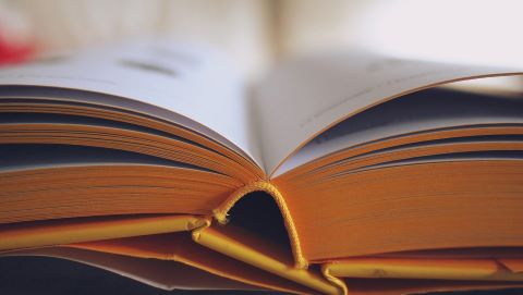 Buku Terbuka Kecil